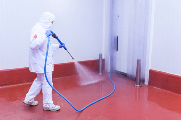 Best Soft Washing for Delicate Surfaces in Sterling City, TX